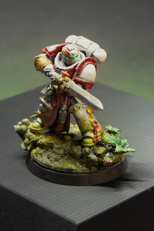 Lost beneath the canopy, nature takes over. Roots, rocks, and dense forest textures create a wild setting for Warhammer, Space Marines, and fantasy miniatures.